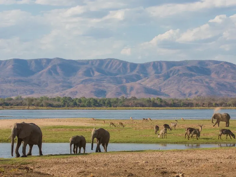 Best of Three Rivers: Luxury Zimbabwe & Botswana Tour